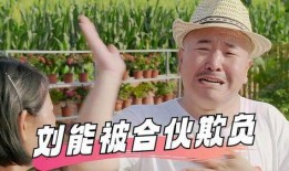 乡村爱情八在线观看,重温乡村爱情故事！